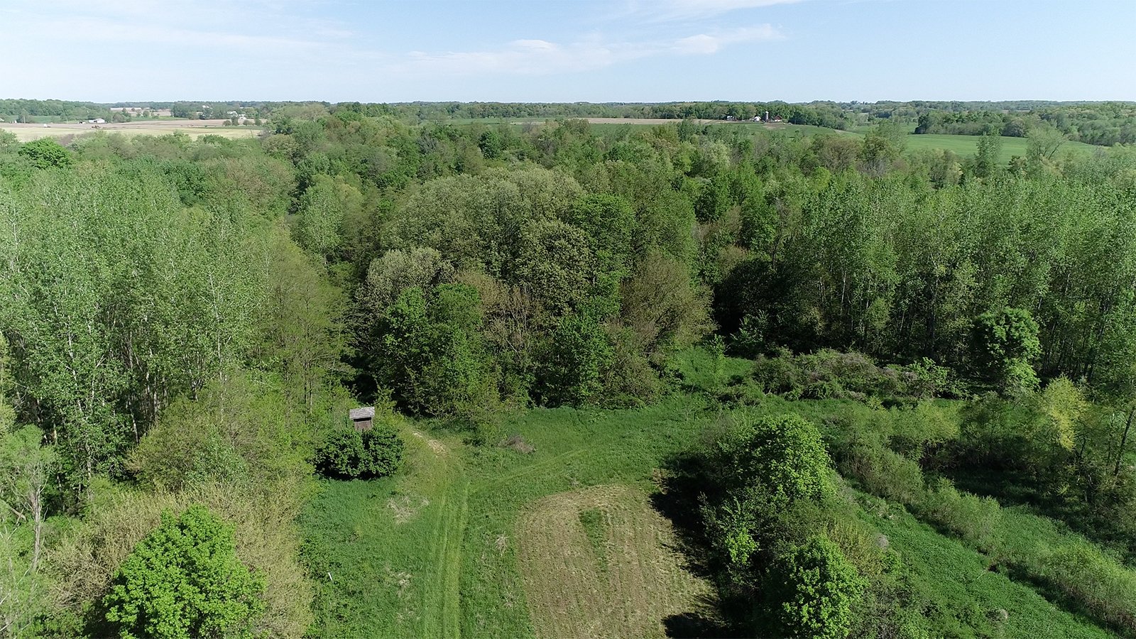 Property photo 9 - REAL ESTATE AUCTION 88.5+/- ACRES OFFERED IN 1 TRACT IN MIAMI COUNTY, IN