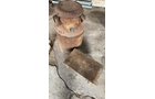 Property photo 251 - TIMED ONLINE ONLY AUCTION IN ALLEN COUNTY, IN
