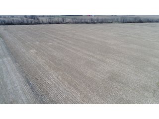 Property photo 15 - REAL ESTATE LAND AUCTION 90+/- ACRES OFFERED IN 3 TRACTS OR IN COMBINATION IN CASS COUNTY, IN