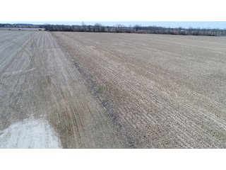 Property photo 16 - REAL ESTATE LAND AUCTION 90+/- ACRES OFFERED IN 3 TRACTS OR IN COMBINATION IN CASS COUNTY, IN