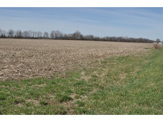 Property photo 17 - REAL ESTATE LAND AUCTION 90+/- ACRES OFFERED IN 3 TRACTS OR IN COMBINATION IN CASS COUNTY, IN