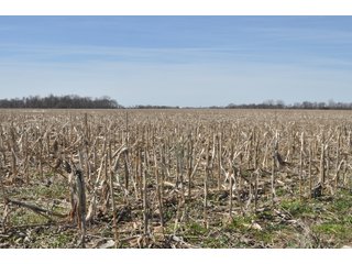 Property photo 12 - REAL ESTATE LAND AUCTION 90+/- ACRES OFFERED IN 3 TRACTS OR IN COMBINATION IN CASS COUNTY, IN