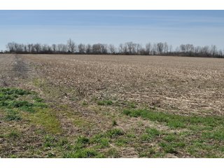 Property photo 1 - REAL ESTATE LAND AUCTION 90+/- ACRES OFFERED IN 3 TRACTS OR IN COMBINATION IN CASS COUNTY, IN