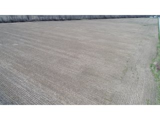 Property photo 9 - REAL ESTATE LAND AUCTION 90+/- ACRES OFFERED IN 3 TRACTS OR IN COMBINATION IN CASS COUNTY, IN
