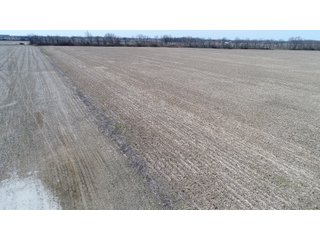 Property photo 8 - REAL ESTATE LAND AUCTION 90+/- ACRES OFFERED IN 3 TRACTS OR IN COMBINATION IN CASS COUNTY, IN