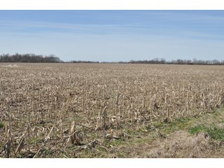 Property photo 6 - REAL ESTATE LAND AUCTION 90+/- ACRES OFFERED IN 3 TRACTS OR IN COMBINATION IN CASS COUNTY, IN