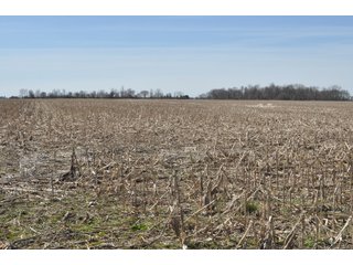 Property photo 4 - REAL ESTATE LAND AUCTION 90+/- ACRES OFFERED IN 3 TRACTS OR IN COMBINATION IN CASS COUNTY, IN