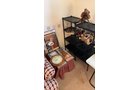 Property photo 51 - TIMED ONLINE ONLY PERSONAL PROPERTY AUCTION IN ALLEN COUNTY, IN