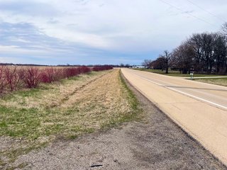 Property photo 21 - FARMLAND AUCTION 211+/- ACRES OFFERED IN 2 TRACTS OR AS A WHOLE IN HENRY COUNTY, IL