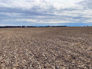 Property photo 20 - FARMLAND AUCTION 211+/- ACRES OFFERED IN 2 TRACTS OR AS A WHOLE IN HENRY COUNTY, IL