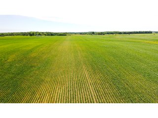 Property photo 23 - FARMLAND AUCTION 211+/- ACRES OFFERED IN 2 TRACTS OR AS A WHOLE IN HENRY COUNTY, IL