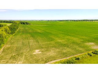 Property photo 17 - FARMLAND AUCTION 211+/- ACRES OFFERED IN 2 TRACTS OR AS A WHOLE IN HENRY COUNTY, IL