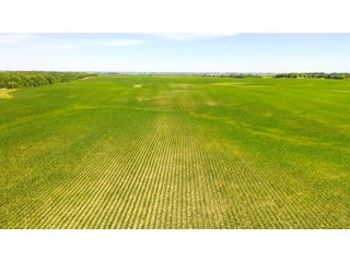 Property photo 15 - FARMLAND AUCTION 211+/- ACRES OFFERED IN 2 TRACTS OR AS A WHOLE IN HENRY COUNTY, IL