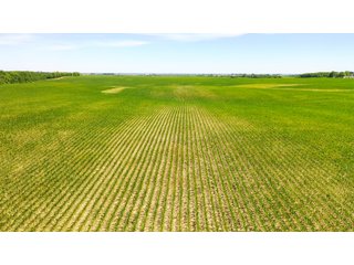 Property photo 14 - FARMLAND AUCTION 211+/- ACRES OFFERED IN 2 TRACTS OR AS A WHOLE IN HENRY COUNTY, IL
