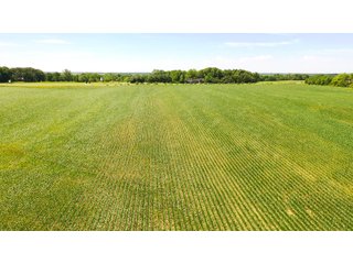 Property photo 13 - FARMLAND AUCTION 211+/- ACRES OFFERED IN 2 TRACTS OR AS A WHOLE IN HENRY COUNTY, IL