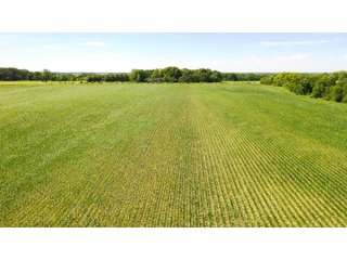 Property photo 12 - FARMLAND AUCTION 211+/- ACRES OFFERED IN 2 TRACTS OR AS A WHOLE IN HENRY COUNTY, IL