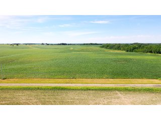 Property photo 11 - FARMLAND AUCTION 211+/- ACRES OFFERED IN 2 TRACTS OR AS A WHOLE IN HENRY COUNTY, IL