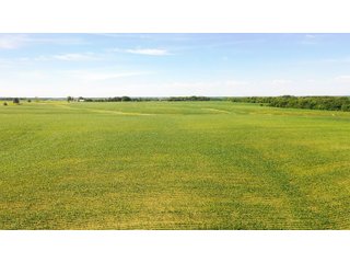 Property photo 9 - FARMLAND AUCTION 211+/- ACRES OFFERED IN 2 TRACTS OR AS A WHOLE IN HENRY COUNTY, IL