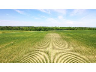 Property photo 8 - FARMLAND AUCTION 211+/- ACRES OFFERED IN 2 TRACTS OR AS A WHOLE IN HENRY COUNTY, IL