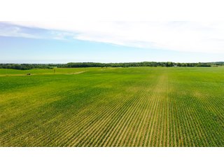 Property photo 7 - FARMLAND AUCTION 211+/- ACRES OFFERED IN 2 TRACTS OR AS A WHOLE IN HENRY COUNTY, IL