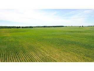 Property photo 6 - FARMLAND AUCTION 211+/- ACRES OFFERED IN 2 TRACTS OR AS A WHOLE IN HENRY COUNTY, IL