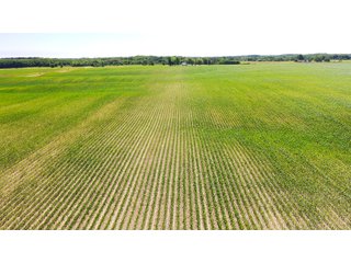 Property photo 3 - FARMLAND AUCTION 211+/- ACRES OFFERED IN 2 TRACTS OR AS A WHOLE IN HENRY COUNTY, IL