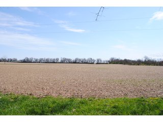 Property photo 14 - LAND AUCTION 154+/- ACRES OFFERED IN 5 TRACTS OR IN COMBINATION IN FAYETTE COUNTY, OH