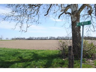 Property photo 13 - LAND AUCTION 154+/- ACRES OFFERED IN 5 TRACTS OR IN COMBINATION IN FAYETTE COUNTY, OH