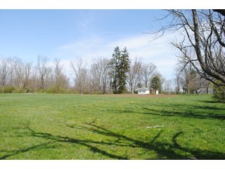 Property photo 12 - LAND AUCTION 154+/- ACRES OFFERED IN 5 TRACTS OR IN COMBINATION IN FAYETTE COUNTY, OH