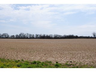 Property photo 10 - LAND AUCTION 154+/- ACRES OFFERED IN 5 TRACTS OR IN COMBINATION IN FAYETTE COUNTY, OH