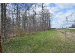 Property photo 44 - EAST ALLEN FARMLAND AUCTION - 54+/- ACRES OFFERED IN 4 TRACTS OR COMBINATIONS IN ALLEN COUNTY, IN