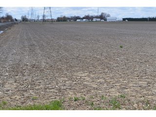 Property photo 41 - EAST ALLEN FARMLAND AUCTION - 54+/- ACRES OFFERED IN 4 TRACTS OR COMBINATIONS IN ALLEN COUNTY, IN