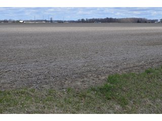 Property photo 39 - EAST ALLEN FARMLAND AUCTION - 54+/- ACRES OFFERED IN 4 TRACTS OR COMBINATIONS IN ALLEN COUNTY, IN