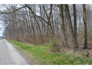 Property photo 38 - EAST ALLEN FARMLAND AUCTION - 54+/- ACRES OFFERED IN 4 TRACTS OR COMBINATIONS IN ALLEN COUNTY, IN