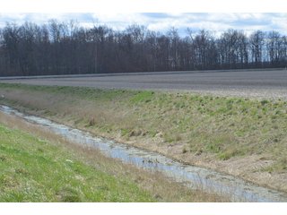 Property photo 58 - EAST ALLEN FARMLAND AUCTION - 54+/- ACRES OFFERED IN 4 TRACTS OR COMBINATIONS IN ALLEN COUNTY, IN