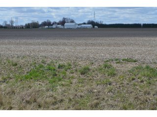 Property photo 46 - EAST ALLEN FARMLAND AUCTION - 54+/- ACRES OFFERED IN 4 TRACTS OR COMBINATIONS IN ALLEN COUNTY, IN