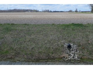 Property photo 69 - EAST ALLEN FARMLAND AUCTION - 54+/- ACRES OFFERED IN 4 TRACTS OR COMBINATIONS IN ALLEN COUNTY, IN