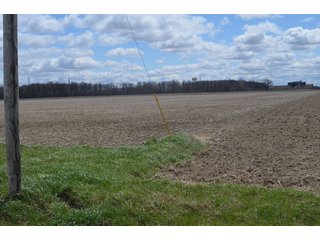 Property photo 24 - EAST ALLEN FARMLAND AUCTION - 54+/- ACRES OFFERED IN 4 TRACTS OR COMBINATIONS IN ALLEN COUNTY, IN