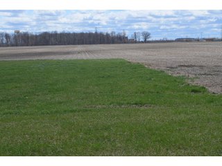 Property photo 27 - EAST ALLEN FARMLAND AUCTION - 54+/- ACRES OFFERED IN 4 TRACTS OR COMBINATIONS IN ALLEN COUNTY, IN