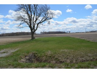 Property photo 29 - EAST ALLEN FARMLAND AUCTION - 54+/- ACRES OFFERED IN 4 TRACTS OR COMBINATIONS IN ALLEN COUNTY, IN