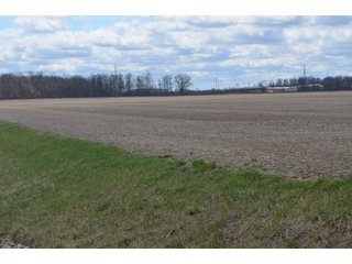 Property photo 20 - EAST ALLEN FARMLAND AUCTION - 54+/- ACRES OFFERED IN 4 TRACTS OR COMBINATIONS IN ALLEN COUNTY, IN
