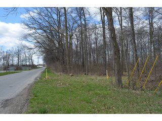 Property photo 51 - EAST ALLEN FARMLAND AUCTION - 54+/- ACRES OFFERED IN 4 TRACTS OR COMBINATIONS IN ALLEN COUNTY, IN