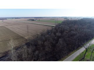 Property photo 16 - EAST ALLEN FARMLAND AUCTION - 54+/- ACRES OFFERED IN 4 TRACTS OR COMBINATIONS IN ALLEN COUNTY, IN