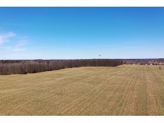 Property photo 7 - LAND AUCTION 85+/- ACRES OFFERED IN 7 TRACTS OR IN COMBINATIONS IN NOBLE COUNTY, IN