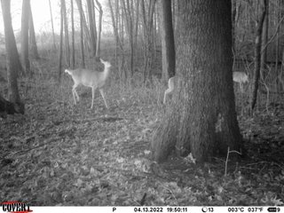 Property photo 25 - LAND AUCTION 85+/- ACRES OFFERED IN 7 TRACTS OR IN COMBINATIONS IN NOBLE COUNTY, IN