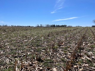 Property photo 17 - LAND AUCTION 85+/- ACRES OFFERED IN 7 TRACTS OR IN COMBINATIONS IN NOBLE COUNTY, IN