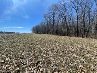 Property photo 9 - LAND AUCTION 85+/- ACRES OFFERED IN 7 TRACTS OR IN COMBINATIONS IN NOBLE COUNTY, IN