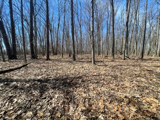 Property photo 16 - LAND AUCTION 85+/- ACRES OFFERED IN 7 TRACTS OR IN COMBINATIONS IN NOBLE COUNTY, IN