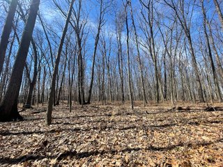 Property photo 15 - LAND AUCTION 85+/- ACRES OFFERED IN 7 TRACTS OR IN COMBINATIONS IN NOBLE COUNTY, IN
