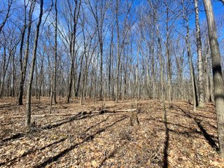 Property photo 14 - LAND AUCTION 85+/- ACRES OFFERED IN 7 TRACTS OR IN COMBINATIONS IN NOBLE COUNTY, IN